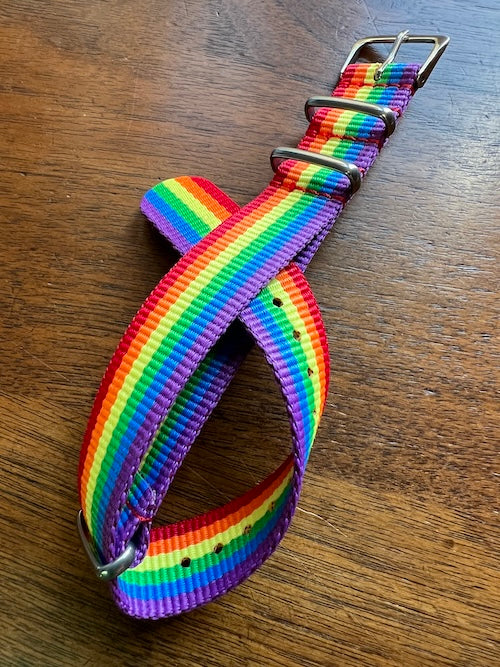 Bracelet NATO en nylon balistique arc-en-ciel